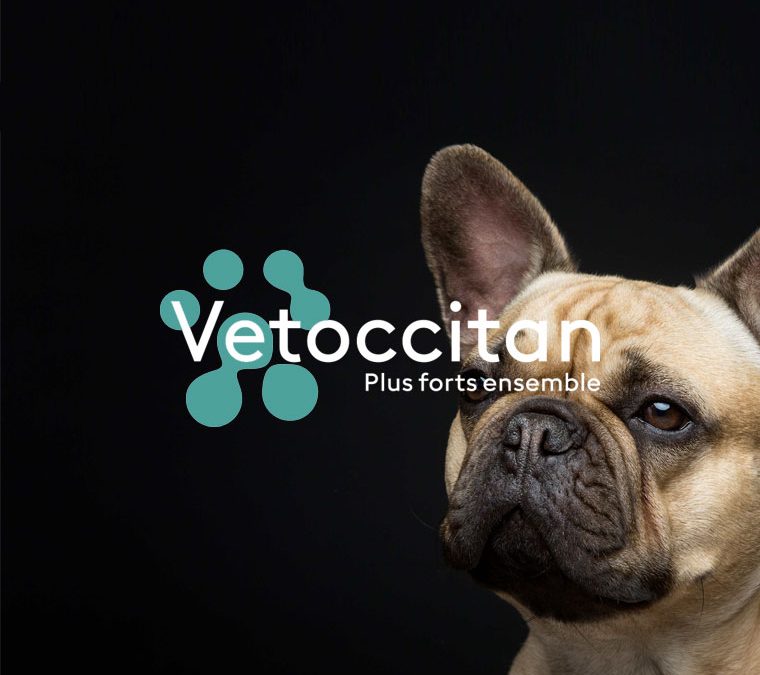 Création d&rsquo;un réseau de sites vitrines pour Vetoccitan