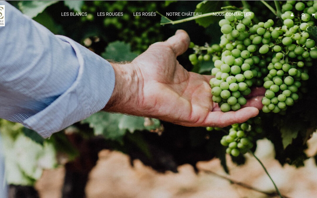 Création d’une boutique en ligne Chateau St Cyrgues
