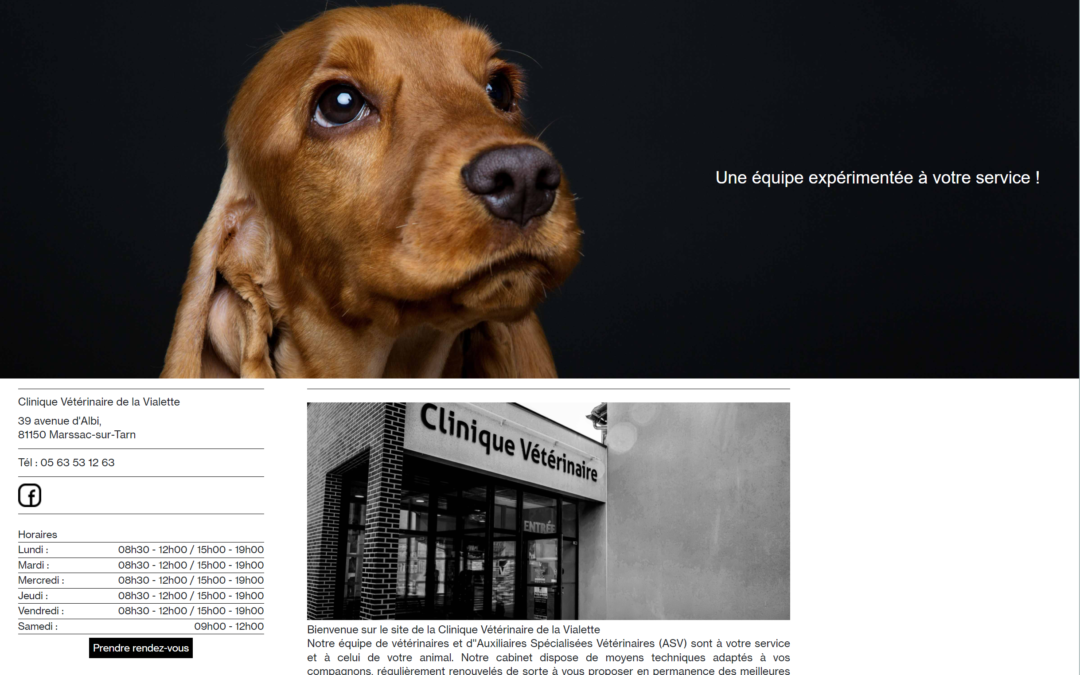 Création d’un réseau de sites vitrines pour Vetoccitan